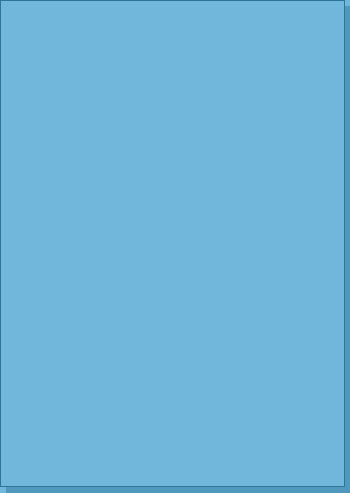 MT312_210x292_blue