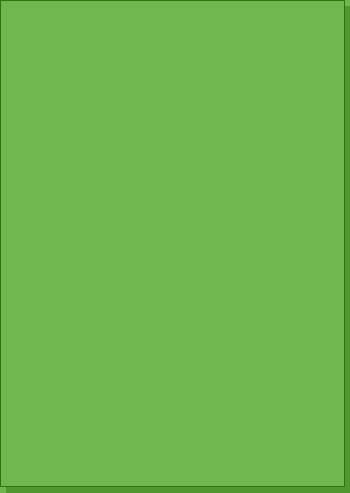 MT312_210x297_green